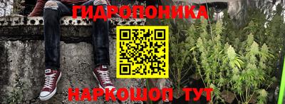дживик Нальчик
