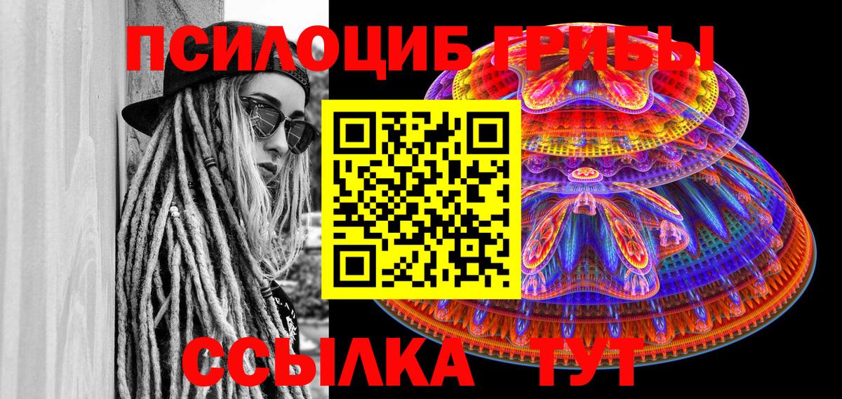 купить закладку  Вход с VPN  Улан-Удэ  Псилоцибиновые грибы прущие грибы 