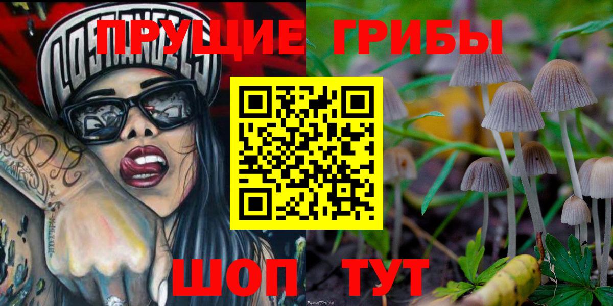 Псилоцибиновые грибы мицелий Улан-Удэ
